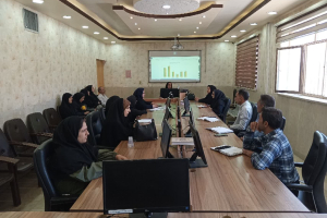کمیته فاتع شبکه بهداشت و درمان برگزار شد
