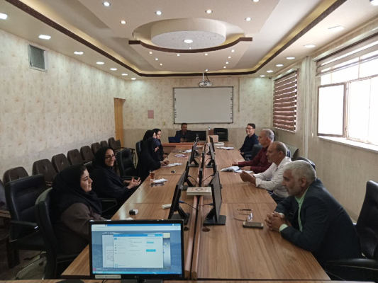  کمیته اجرایی و کمیته پایش برنامه پزشکی خانواده و نظام ارجاع برگزار شد