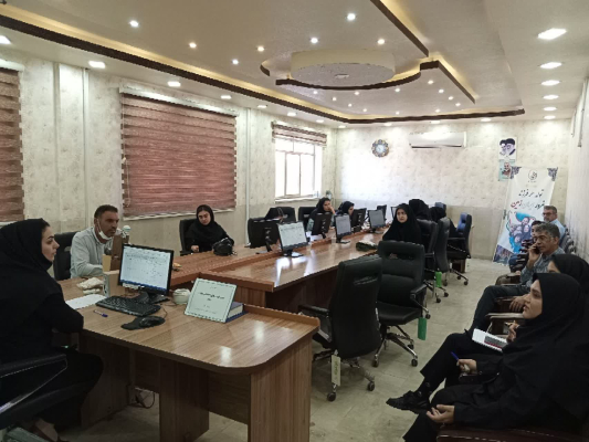 کمیته اجرایی SDH با حضور پزشکان برگزار شد
