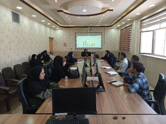 کمیته فاتع شبکه بهداشت و درمان برگزار شد