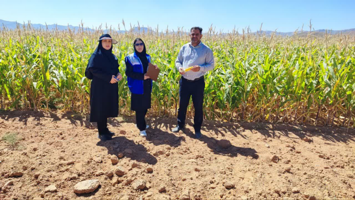 بازدید مشترک از نهالستان های مثمر و غیر مثمر شهرستان
