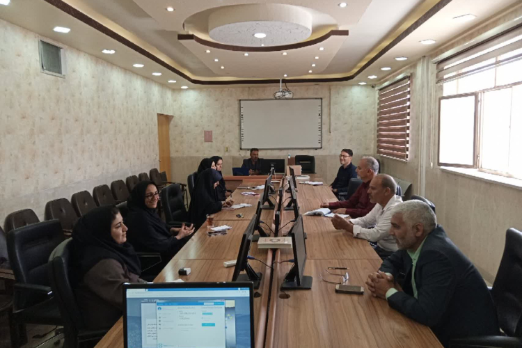  کمیته اجرایی و کمیته پایش برنامه پزشکی خانواده و نظام ارجاع برگزار شد