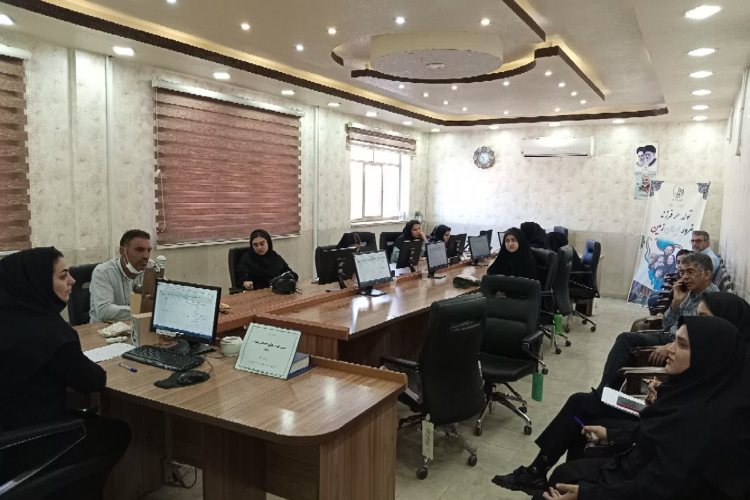 کمیته اجرایی SDH با حضور پزشکان برگزار شد