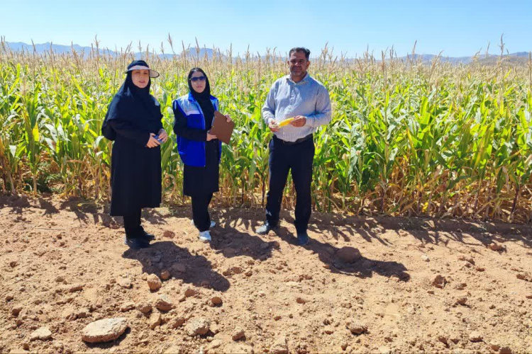 بازدید مشترک از نهالستان های مثمر و غیر مثمر شهرستان